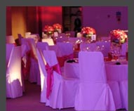 Chair Covers